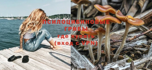 бошки Кукмор