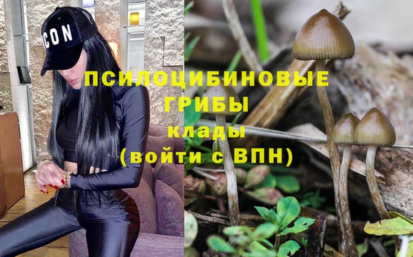 твердый Лабытнанги